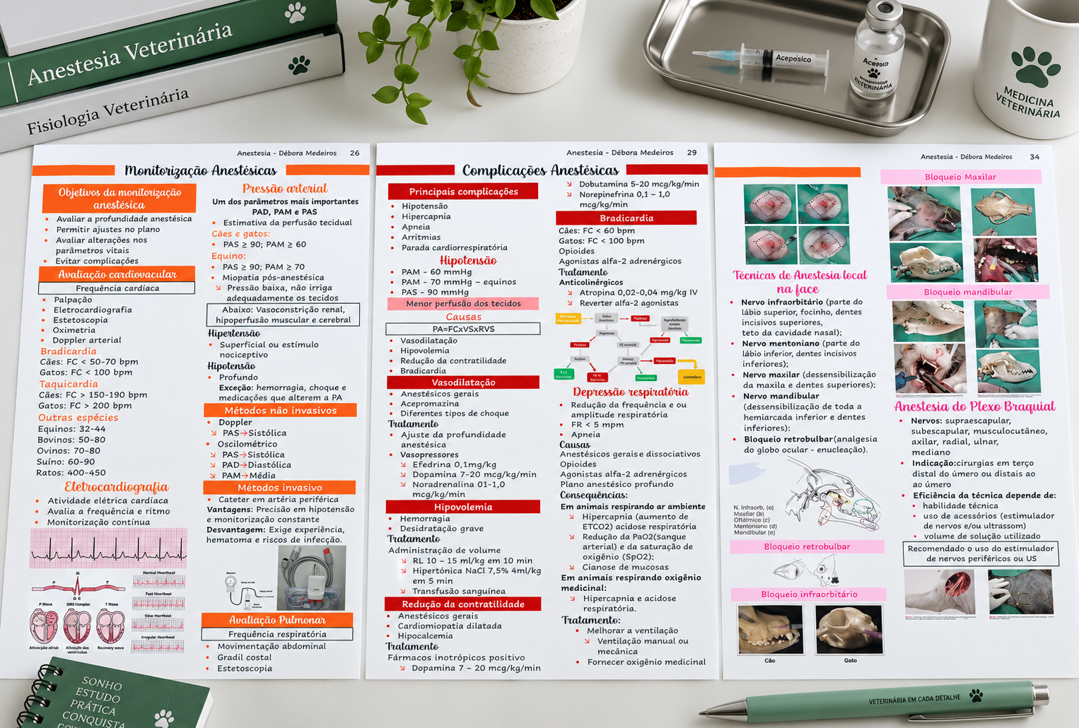 Página interna do e-Book: Monitorização e complicações